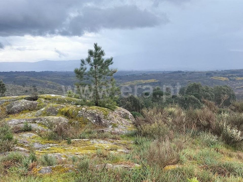 Erhvervsejendom i Mangualde, Viseu - foto 5