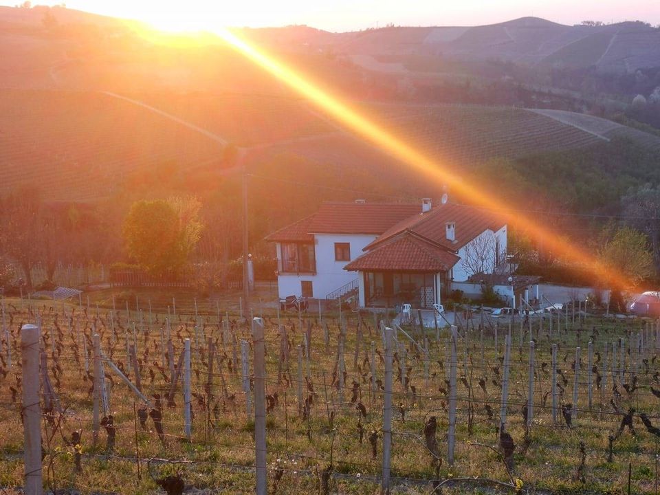 Landejendom i Santo Stefano Belbo, Cuneo - foto 2