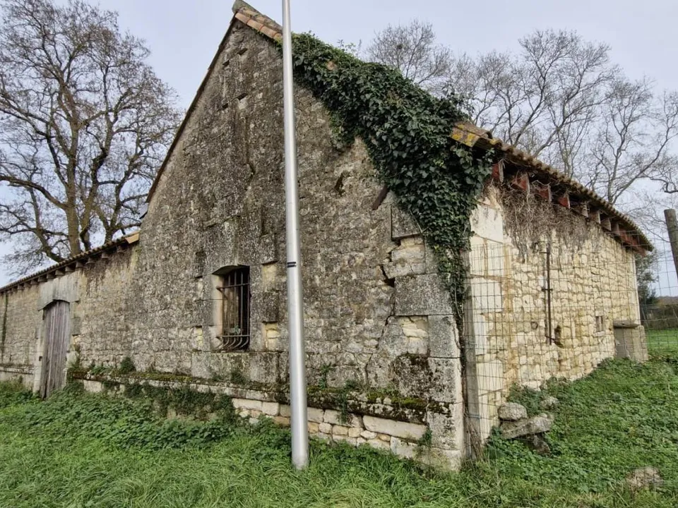 Helårsgrund i Chenac-Saint-Seurin-D'Uzet, Charente-Maritime - foto 3