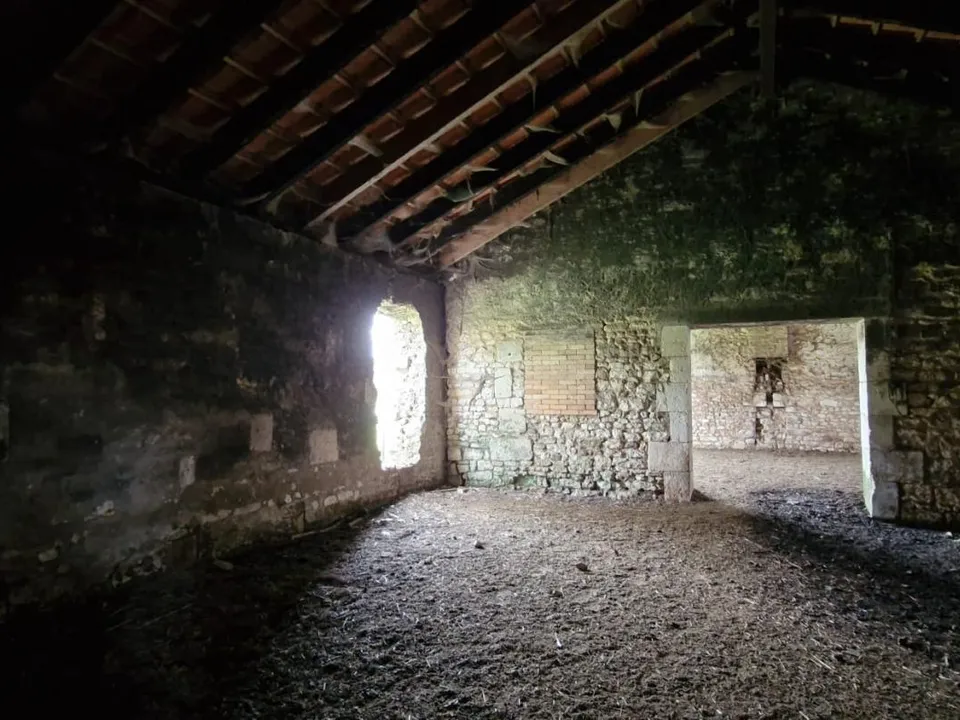 Helårsgrund i Chenac-Saint-Seurin-D'Uzet, Charente-Maritime - foto 4