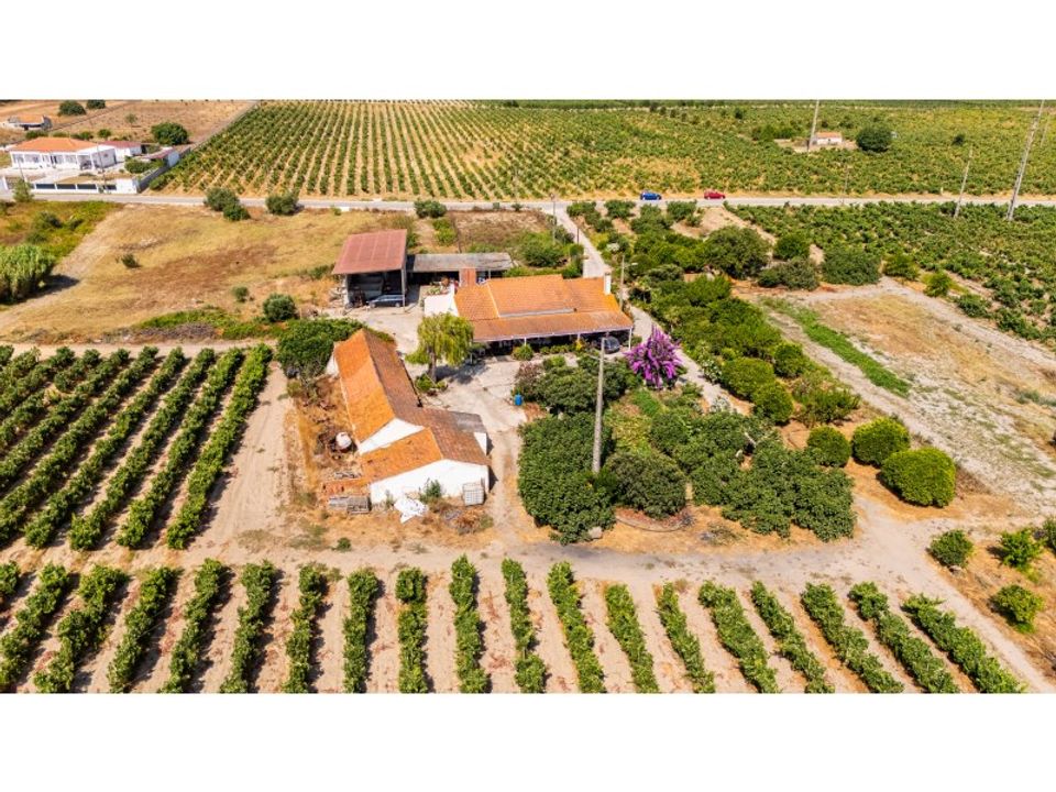 Villa i Palmela, Setubal - foto 1
