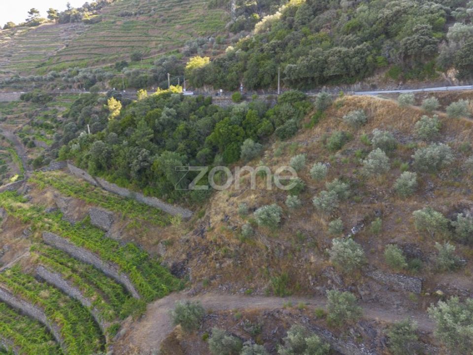 Terra a Sabrosa, Vila Real - foto 2