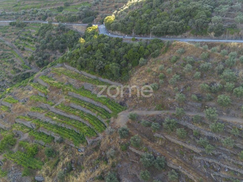 Terra a Sabrosa, Vila Real - foto 3