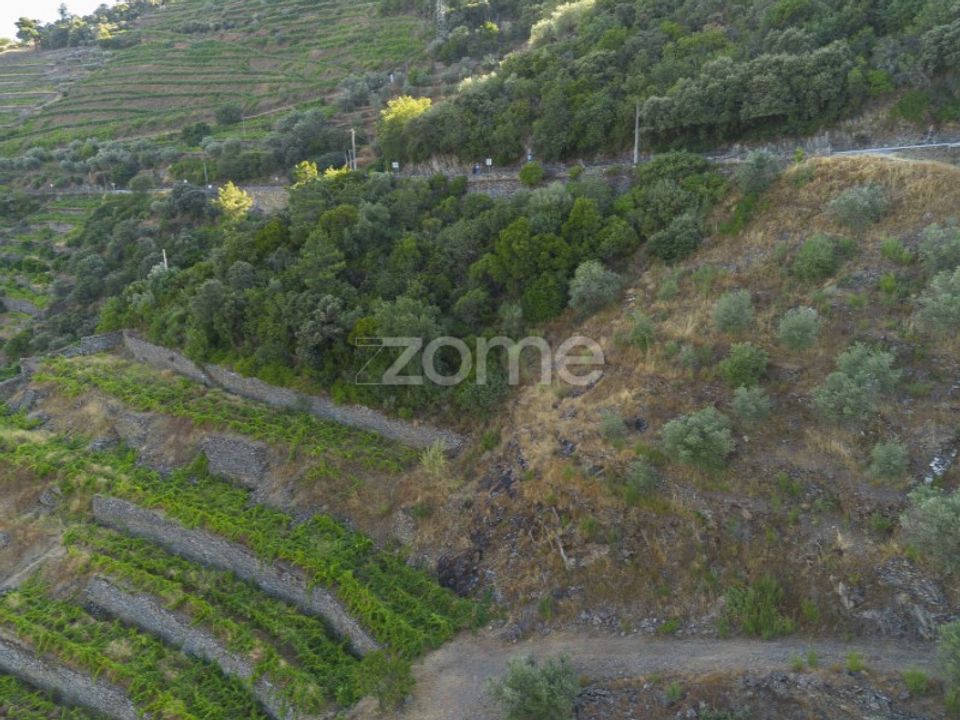Terra a Sabrosa, Vila Real - foto 5
