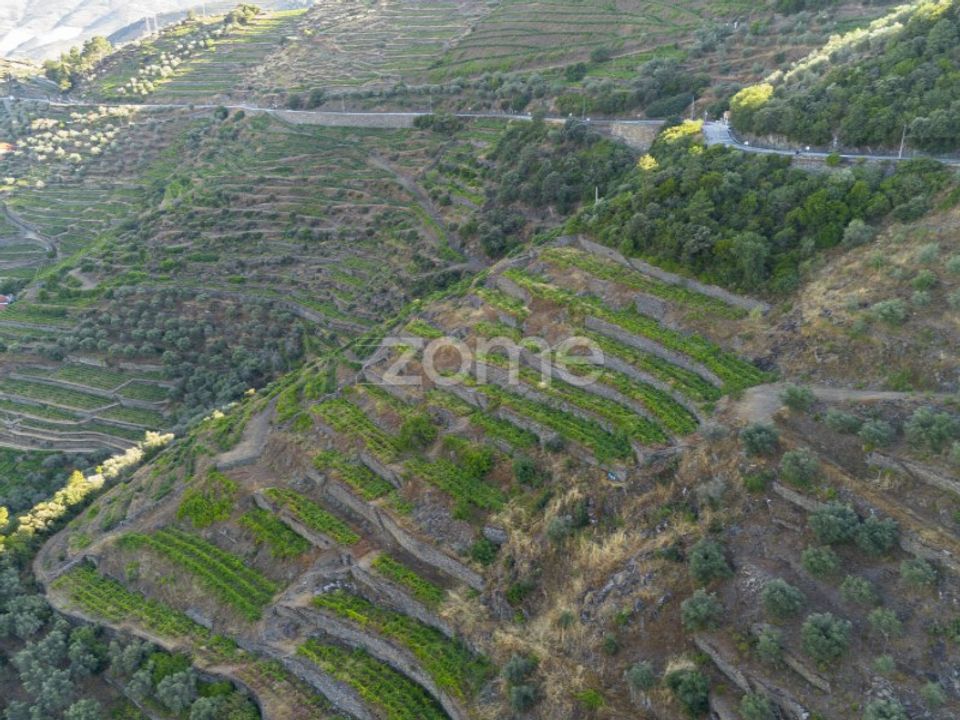 Terra a Sabrosa, Vila Real - foto 1