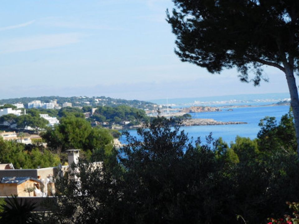 Tomt i Palmanova, Mallorca - bilde 1