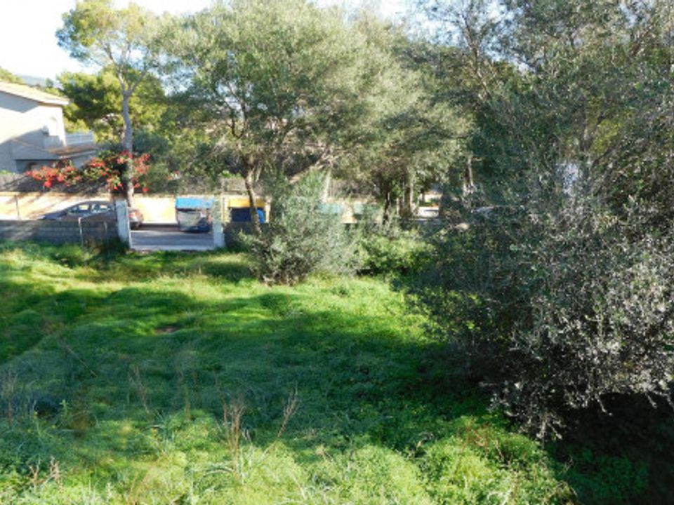 Tomt i Palmanova, Mallorca - bilde 2