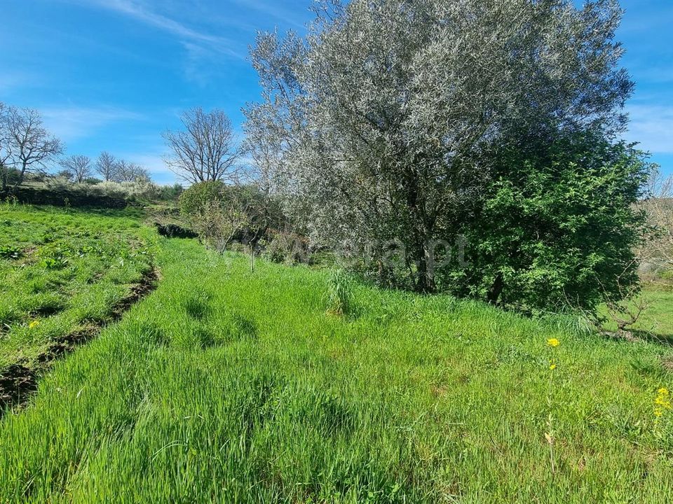 Landsbyhus i Valpacos, Vila Real - foto 5