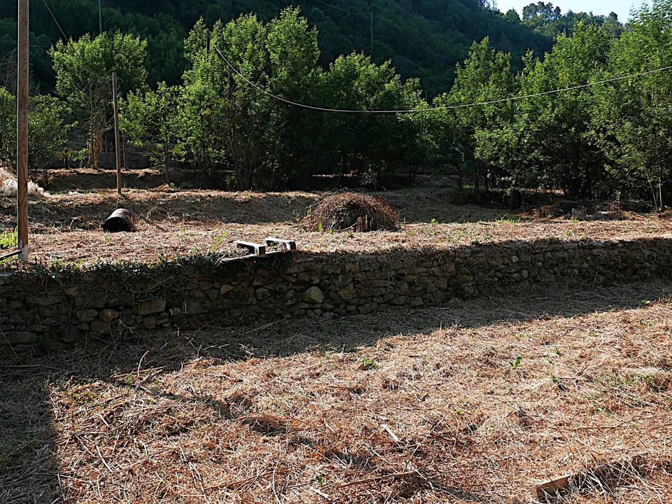 Landejendom i Apricale, Imperia - foto 2