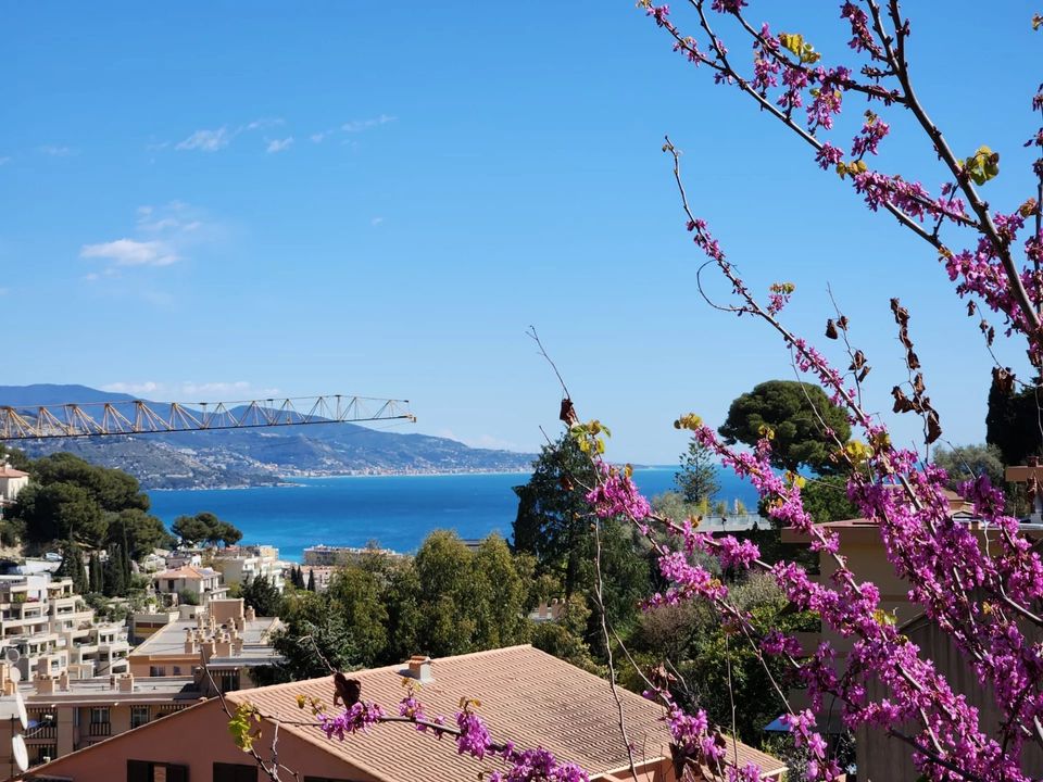 Villa i Roquebrune-Cap-Martin, Alpes-Maritimes - foto 1