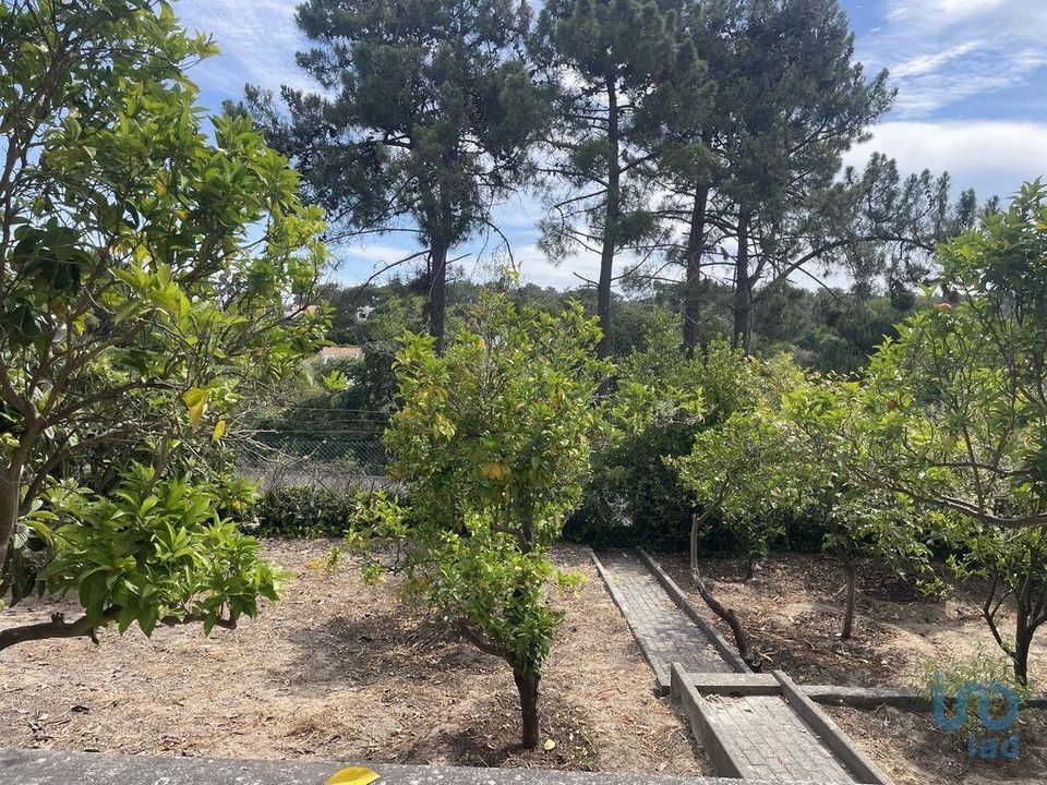 Byhus i Sesimbra, Setubal - foto 2