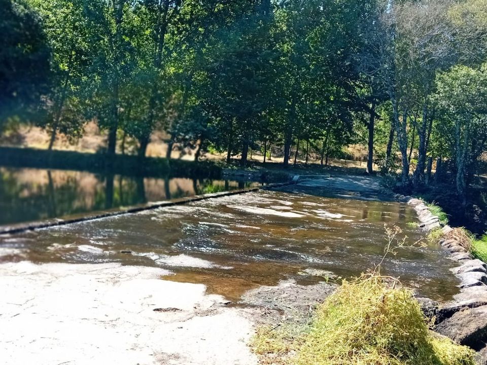 Landejendom i Penalva do Castelo, Viseu - foto 3