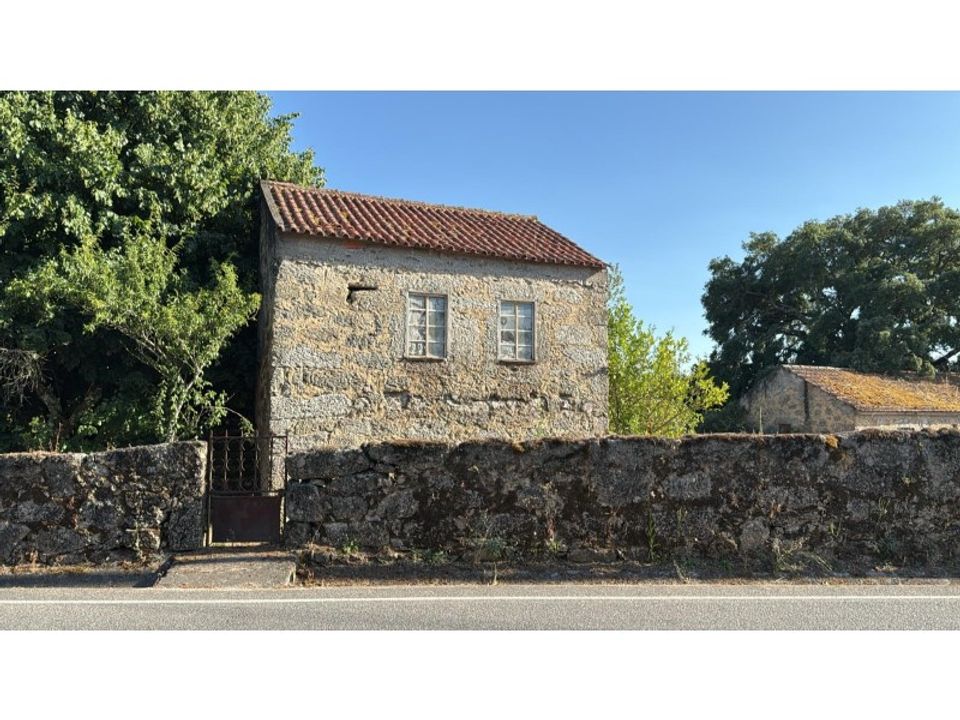 Farm i Carregal do Sal, Viseu - foto 1