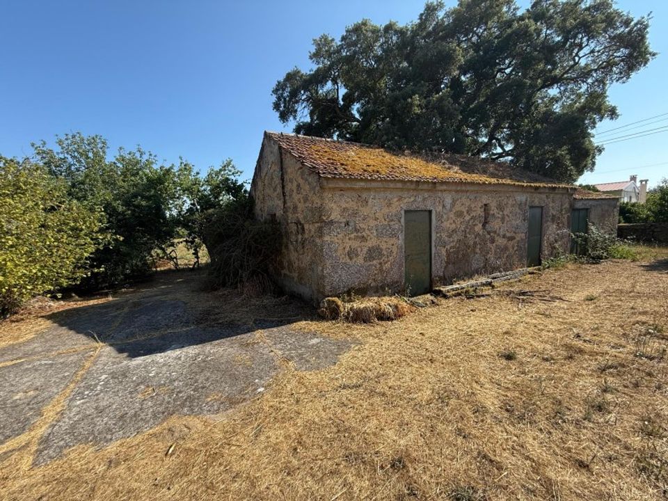 Farm i Carregal do Sal, Viseu - foto 3