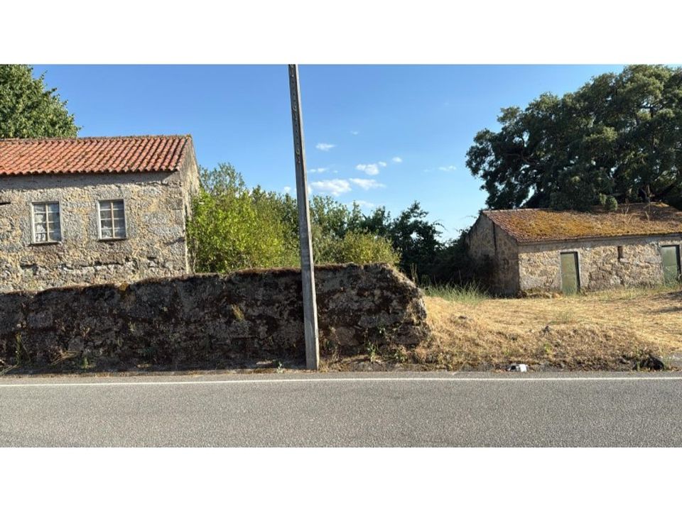 Farm i Carregal do Sal, Viseu - foto 4