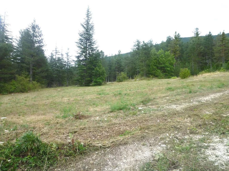 Helårsgrund i Annot, Alpes-de-Haute-Provence - foto 1