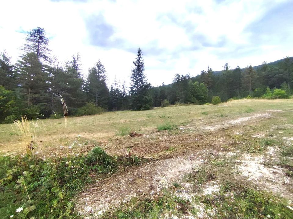 Helårsgrund i Annot, Alpes-de-Haute-Provence - foto 3