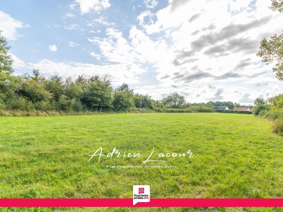 Helårsgrund i Pruniers-en-Sologne, Loir-et-Cher - foto 2
