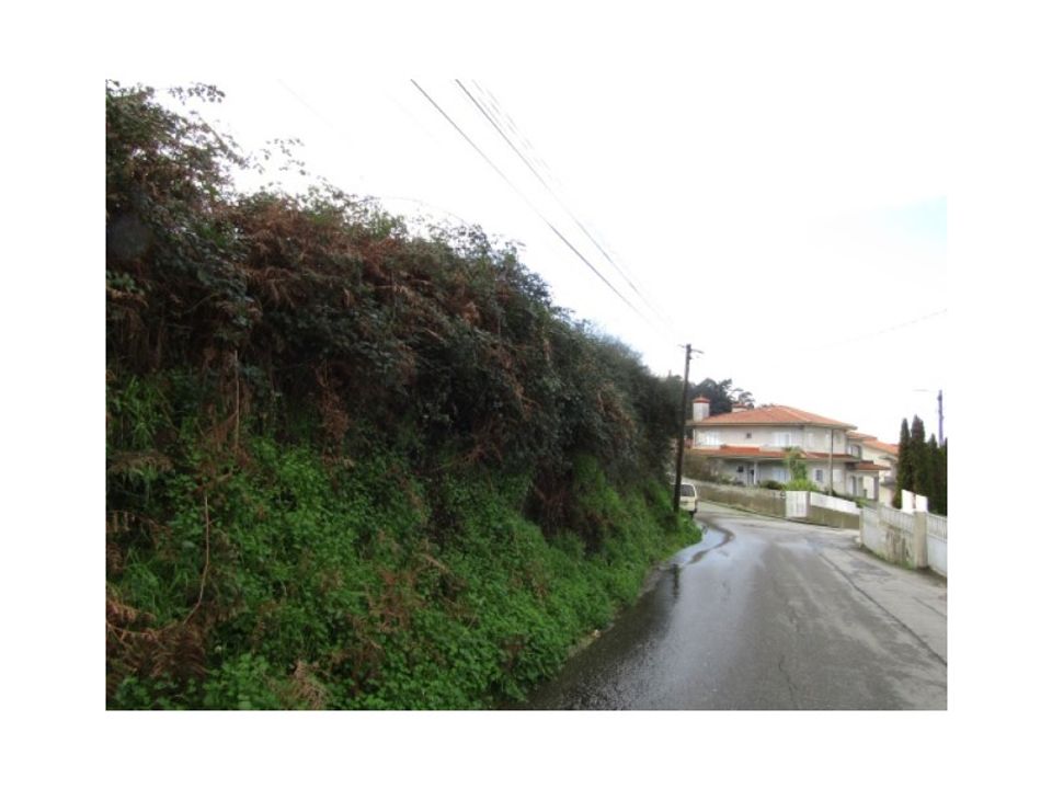 Helårsgrund i Sao Miguel de Souto, Aveiro - foto 4