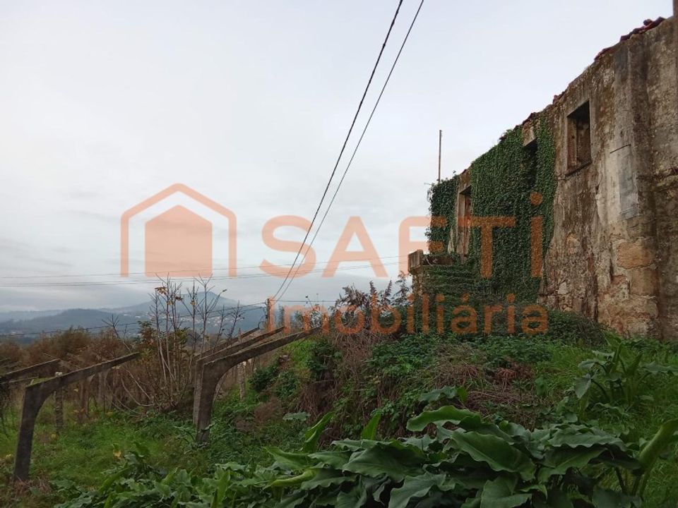 Farm i Bela, Viana do Castelo - foto 1