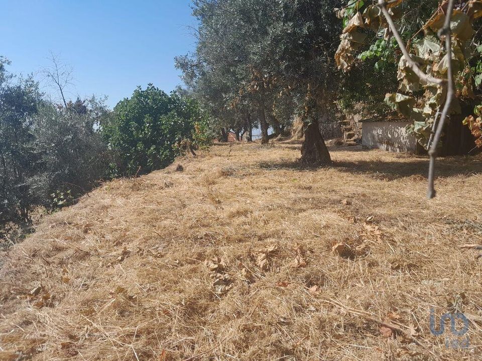 Byhus i Covilha, Castelo Branco - foto 5