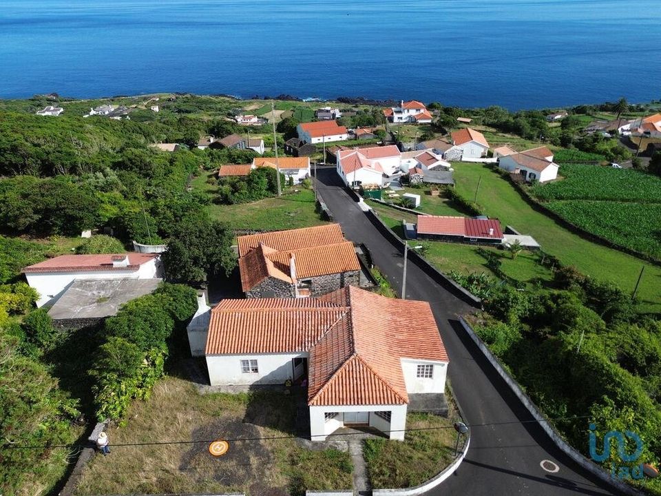 Erhvervsejendom i Lajes do Pico, Pico - foto 3