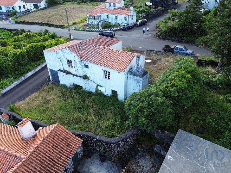 Erhvervsejendom i Lajes do Pico, Pico - foto 5