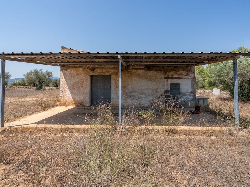 Finca i Ginestar, Tarragona - bilde 1