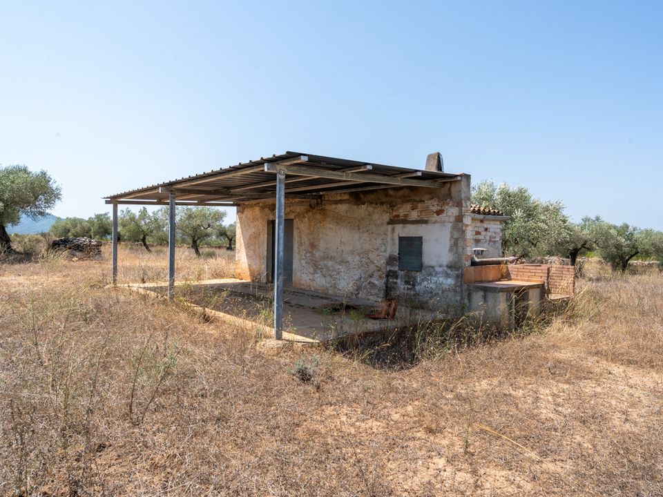 Finca i Ginestar, Tarragona - bilde 5