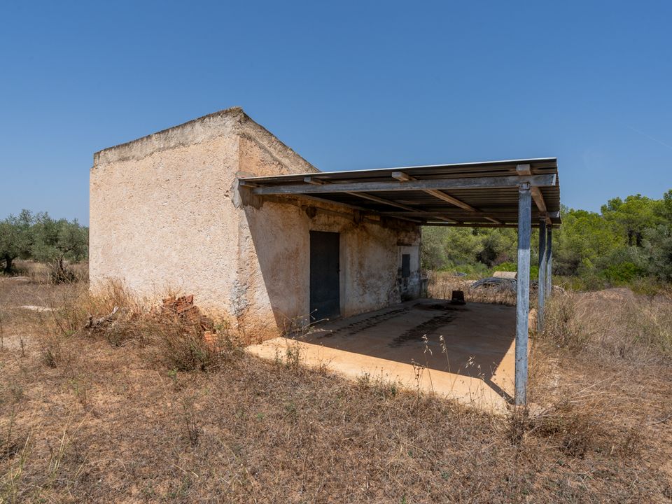 Finca i Ginestar, Tarragona - bilde 4