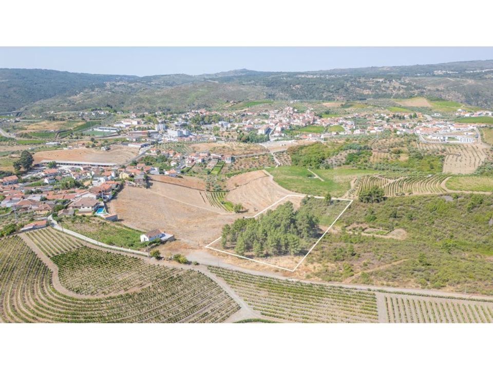 Tomt i Murca, Vila Real - foto 1
