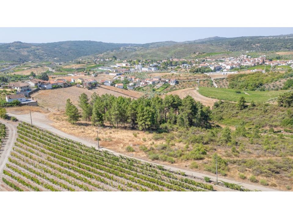 Tomt i Murca, Vila Real - foto 4