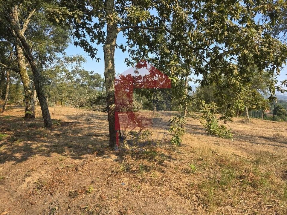 Helårsgrund i Vila Verde, Braga - foto 4