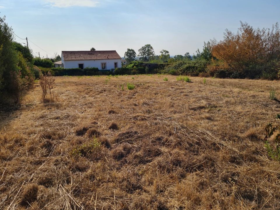 Działka: Pietroso, Haute-Corse – zdjęcie 4