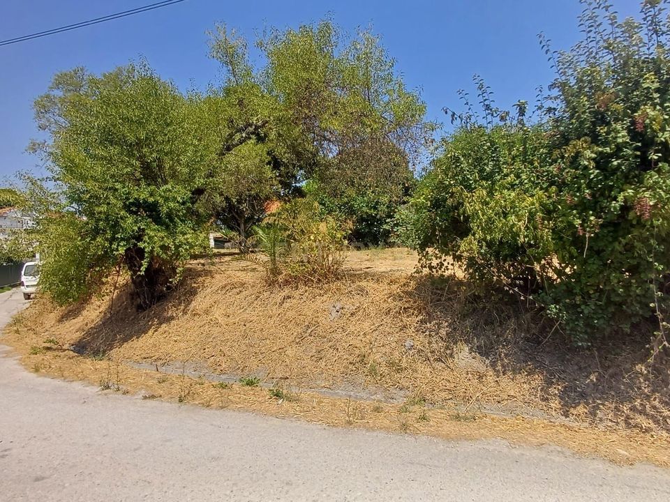 Helårsgrund i Olaia e Paco, Santarem - foto 5