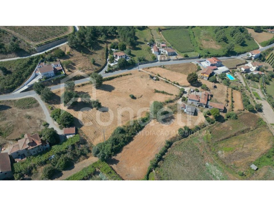 Farm i Felgueiras, Porto - foto 5