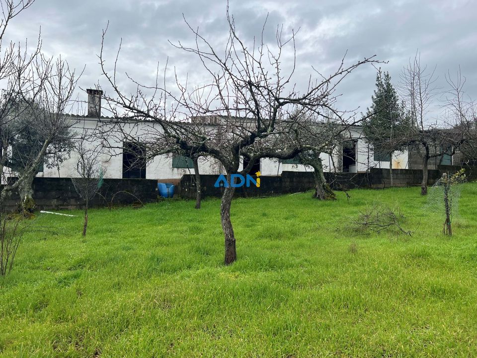Farm hus i Castelo Branco, Castelo Branco - foto 2