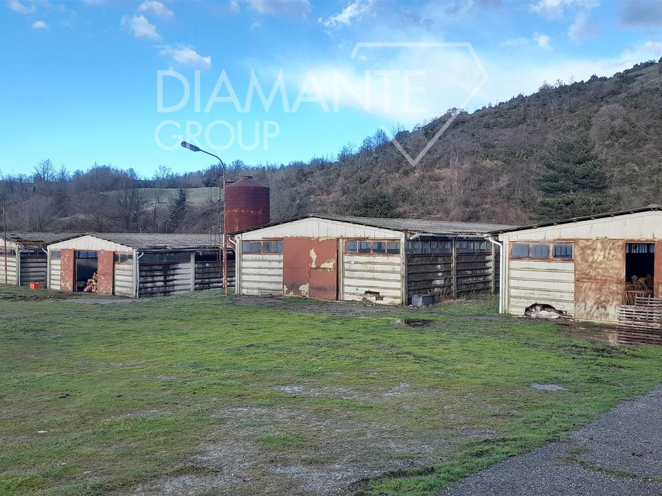 Farm i Sestino, Arezzo - foto 4