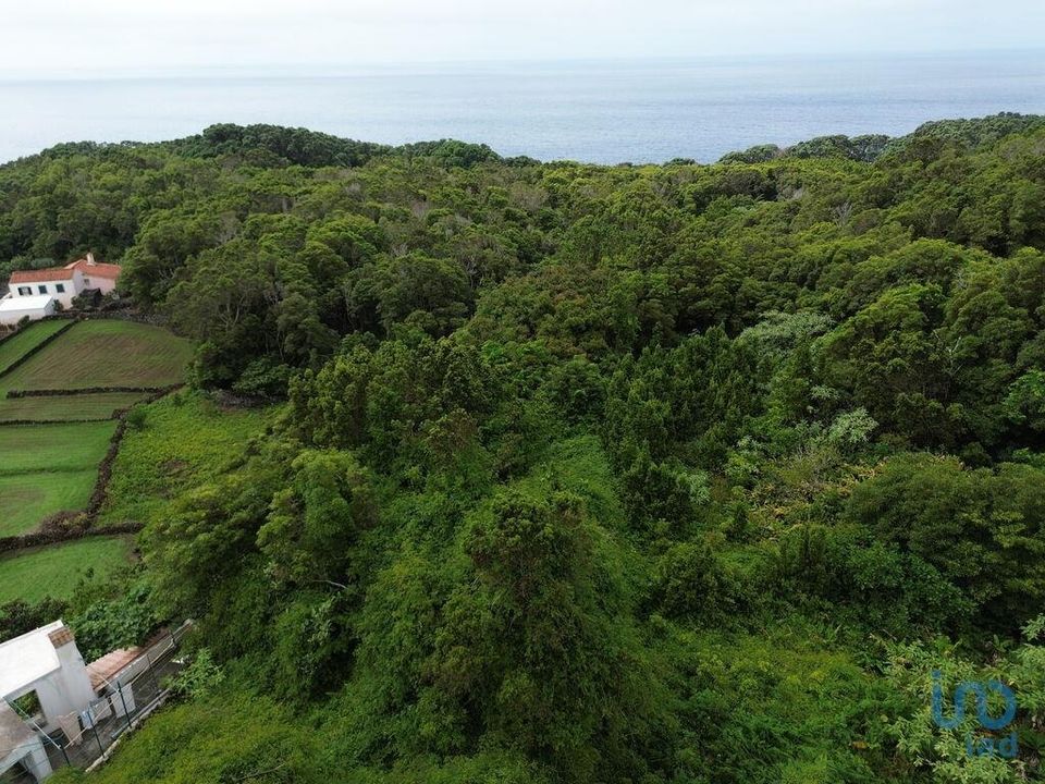 Casa de pueblo en Lajes do Pico, Pico - foto 3
