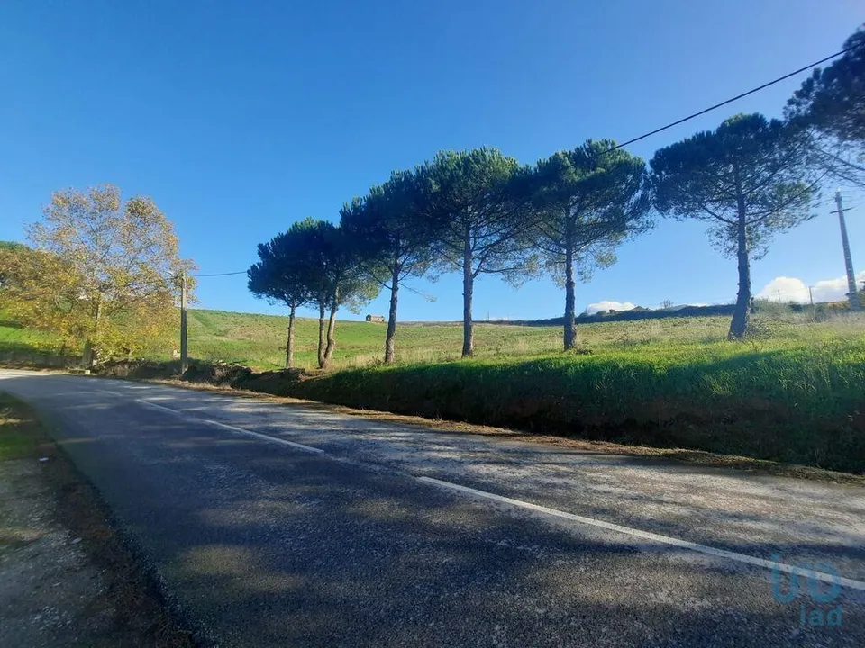 Helårsgrund i Cadaval, Lisbon - foto 3