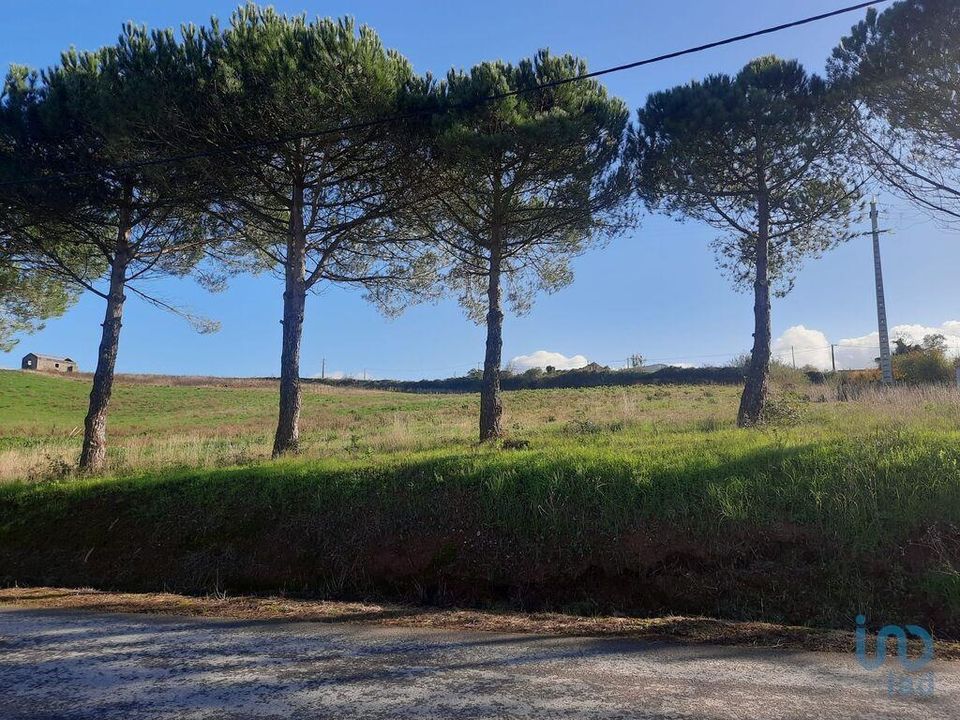 Helårsgrund i Cadaval, Lisbon - foto 5