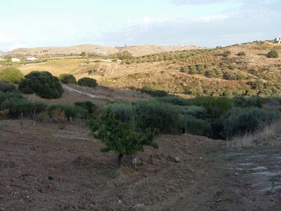 Helårsgrund i Montallegro, Agrigento - foto 4