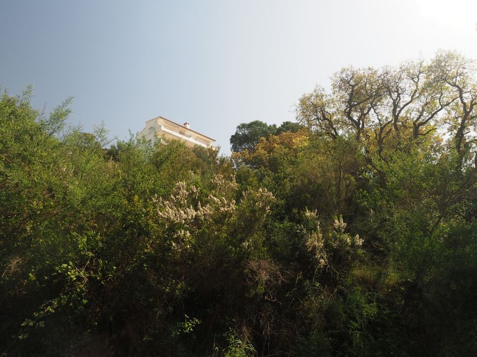 Helårsgrund i Roses, Gerona - foto 4