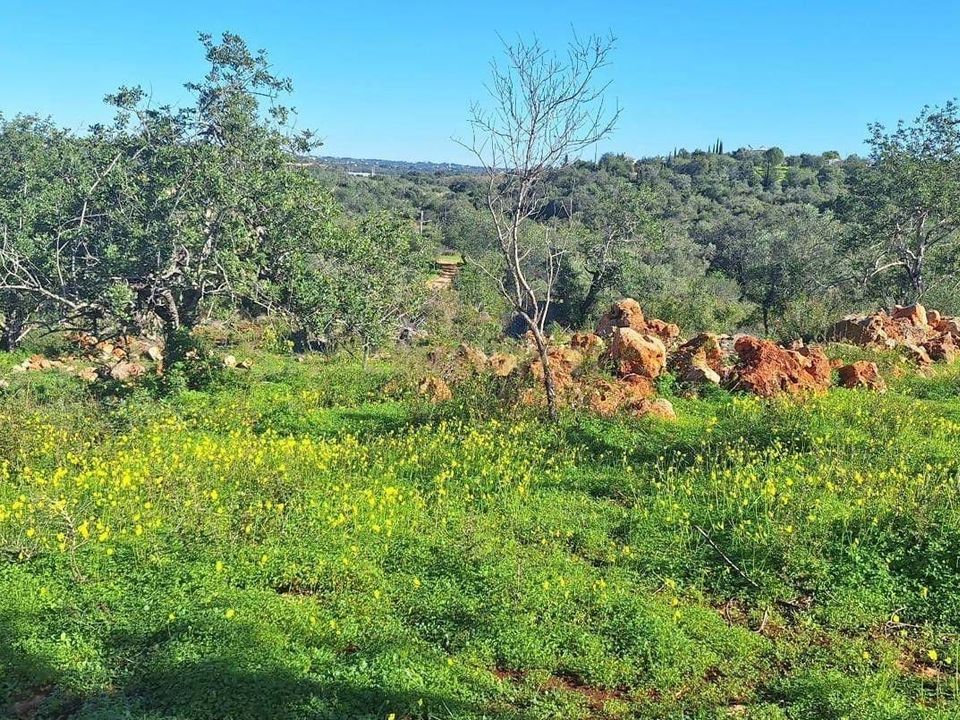 Helårsgrund i Olhao, Faro - foto 4