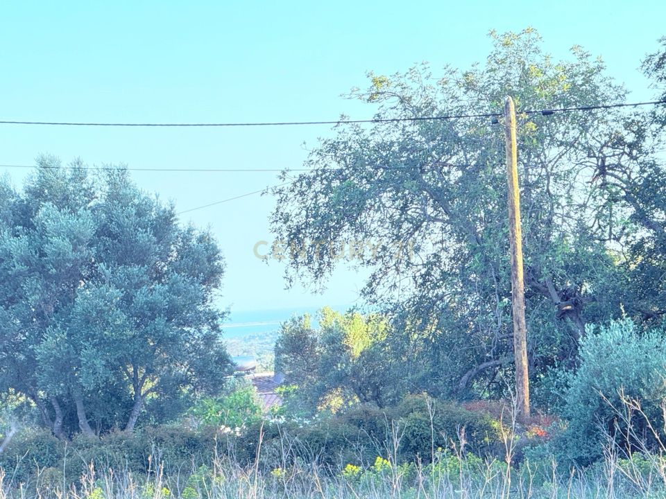 Helårsgrund i Olhao, Faro - foto 4