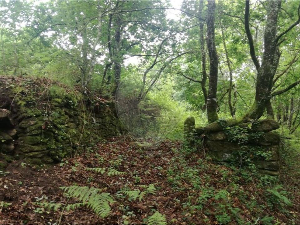 Helårsgrund i Caldelas, Braga - foto 2