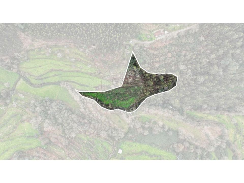 Land in Chorense e Monte, Braga - photo 2