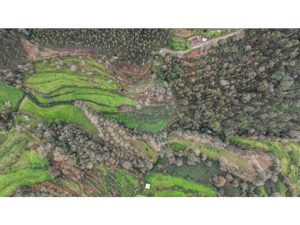 Land in Chorense e Monte, Braga - photo 4