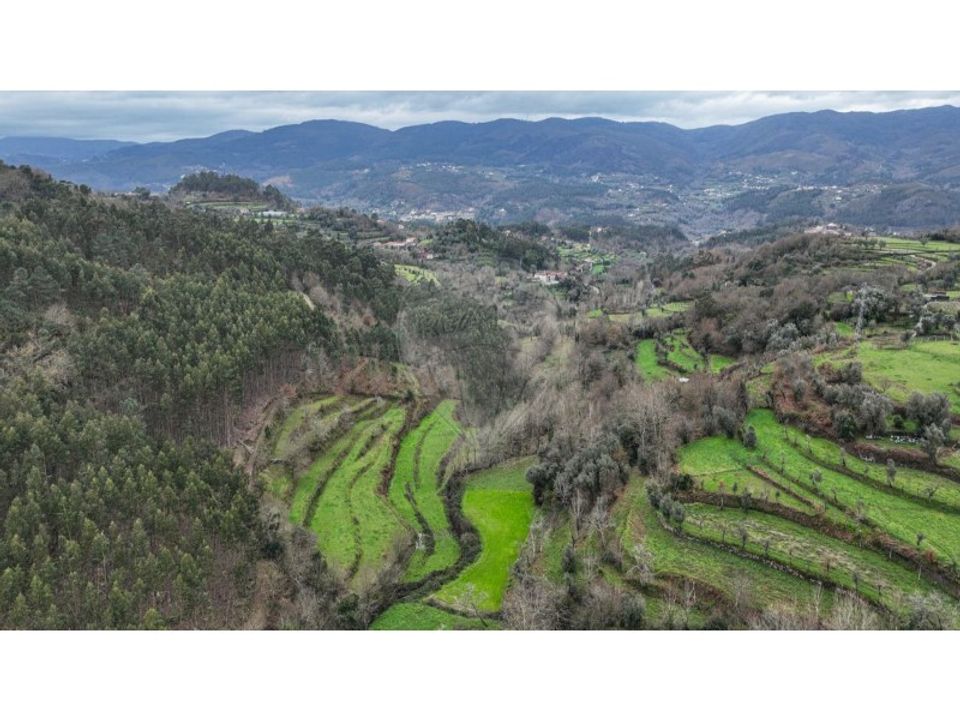 Land in Chorense e Monte, Braga - photo 5