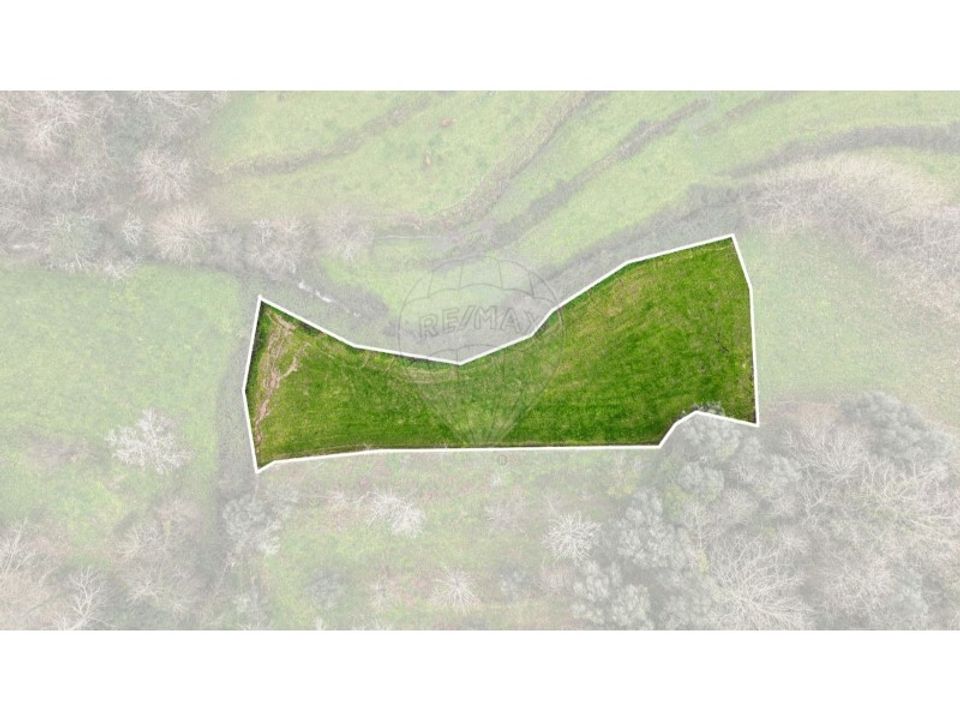 Land in Chorense e Monte, Braga - photo 3